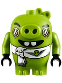 Pilot Pig