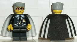 LEGO Madam Rolanda Hooch (hp021) minifigure