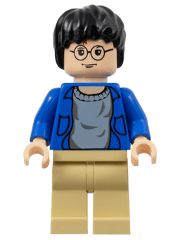 LEGO Harry Potter (hp059) minifigure