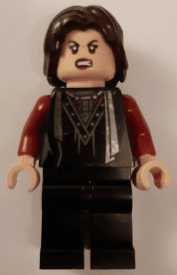LEGO Nymphadora Tonks (hp210) Harry Potter Minifigure