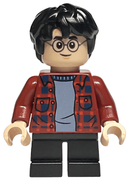 LEGO Harry Potter (hp233) minifigure