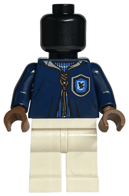 LEGO Mannequin (hp257) Harry Potter Minifigure