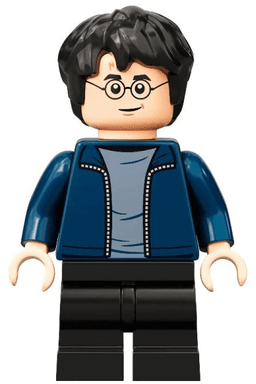 LEGO Harry Potter (hp288) minifigure