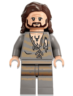 LEGO Sirius Black (hp345) minifigure