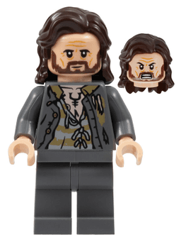 LEGO Sirius Black (hp352) minifigure