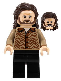 LEGO Sirius Black (hp371) minifigure