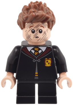 Seamus Finnigan - Gryffindor Robe Clasped, Black Short Legs