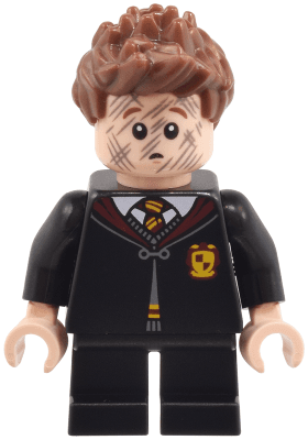 Seamus Finnigan - Gryffindor Robe Clasped, Black Short Legs
