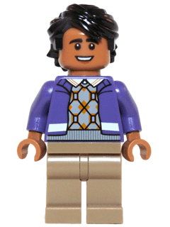 LEGO Raj Koothrappali (idea017) minifigure