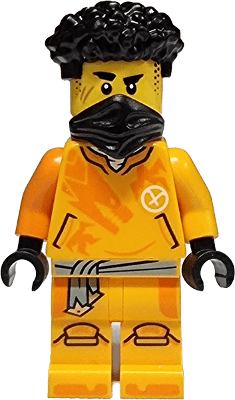 LEGO Arin (njo0868) Ninjago Minifigure