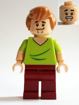 LEGO Shaggy Rogers (scd001) Scooby-Doo Minifigure