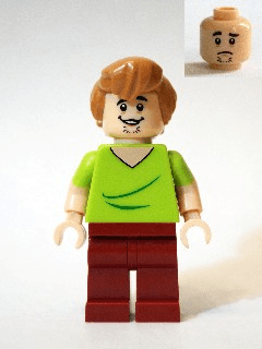LEGO Shaggy Rogers (scd003) Scooby-Doo Minifigure