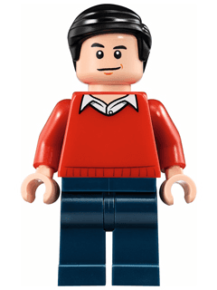 LEGO Dick Grayson (Classic) (sh0236) Super Heroes Minifigure
