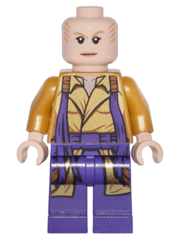 LEGO The Ancient One (sh0298) minifigure