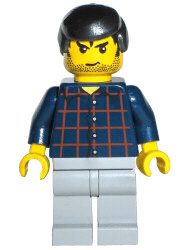 Plaid Button Shirt, Light Bluish Gray Legs, Black Male Hair, Stubble