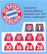 Sticker Sheet for Set 3422-2