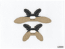 Plastic Wings with Parademon Webbed Pattern, Sheet of 2, Extended and Collapsed Wings