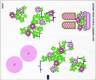 Sticker Sheet for Set 41052 - (16411/6059277)