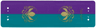 Plastic Canopy with Purple and Dark Turquoise Stripes and Arendelle Crest Flowers Pattern