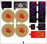Sticker Sheet for Set 70728 - (17642/6074629)