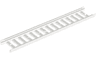 Ladder 16 x 2 1/2 with 15 Rungs
