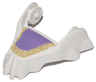 Large Figure Head Modified Chima Cat Jaw Lower with Tan Teeth and Medium Lavender Tongue Pattern