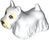 Dog, Terrier Scottish (Scottie) with Reddish Brown Eyes, Black Nose, Tan Eyebrows and Muzzle Pattern
