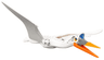 Dinosaur Quetzalcoatlus with Blue Eyes and Orange Jaw