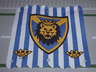 Cloth Hanging 16 x 16 with Blue Stripes and Lion Head Shield Pattern