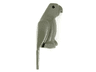 Bird, Parrot with Small Beak