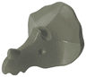 Dinosaur Head Triceratops, Jaw Top