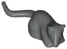 Rat / Mouse