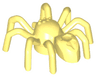 Spider with Elongated Abdomen