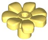 Plant Flower with Bar and Small Pin Hole