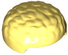 Minifigure, Hair Male, Just on Top