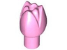 Plant Flower Tulip with Bar and Small Pin Hole