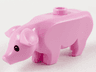 Pig with Black Eyes and White Pupils Pattern