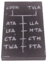 Tile 2 x 3 with White 'CDDA', 'TVLA', 'ATA', 'LLA', 'LFA', 'MTA', 'CTA', 'CTM', 'TWA', and 'FTA' Pattern