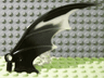 Dragon Wing 8 x 10, Glow In Dark Opaque Trailing Edge Pattern