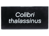 Tile 2 x 4 with White 'Colibri thalassinus' Pattern