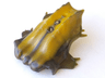 Bionicle Head, Barraki Carapar with Marbled Trans-Brown Pattern