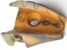Bionicle Barraki Carapar Thigh and Shoulder Cover with Marbled Trans-Brown Pattern