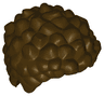 Minifigure, Hair Coiled and Short