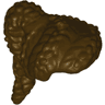 Minifigure, Hair Female Coiled with Ponytail, Hole on Top