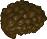 Minifigure, Hair Male, Coiled with Short Straight Sides