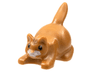 Cat, Crouching with Black Eyes, Dark Brown Stripes on Head, Nougat Nose and White Muzzle Pattern
