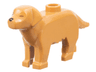 Dog, Labrador / Golden Retriever with Black Right Eye and Nose, Reddish Brown Closed Left Eye Pattern