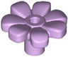 Plant Flower with Bar and Small Pin Hole