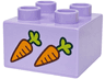 Duplo, Brick 2 x 2 with Orange and Lime Carrots Pattern