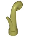 Plant Grass Stem